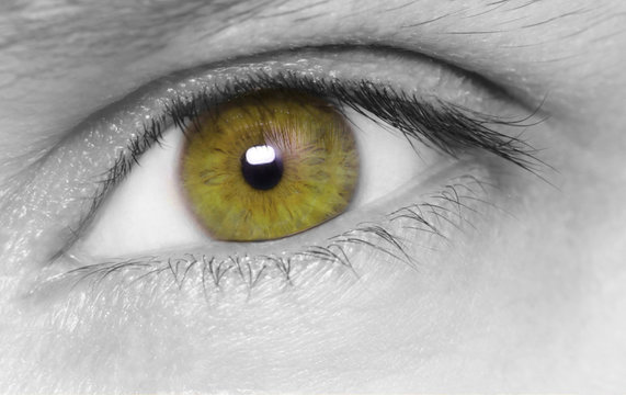 Green eye, macro shot