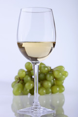 Glass of wine and grape branch