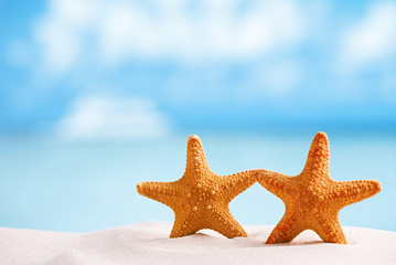 Fototapeta na wymiar red starfish with ocean, beach, sky and seascape, shallow dof