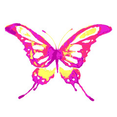 butterflies design