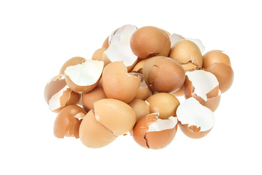 Stack of eggs shell