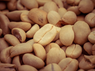 green coffee beans macro with filter effect retro vintage style