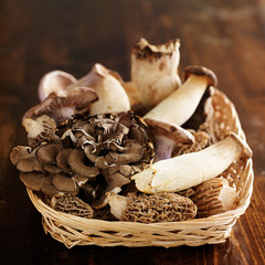 basket of assorted gourmet mushrooms