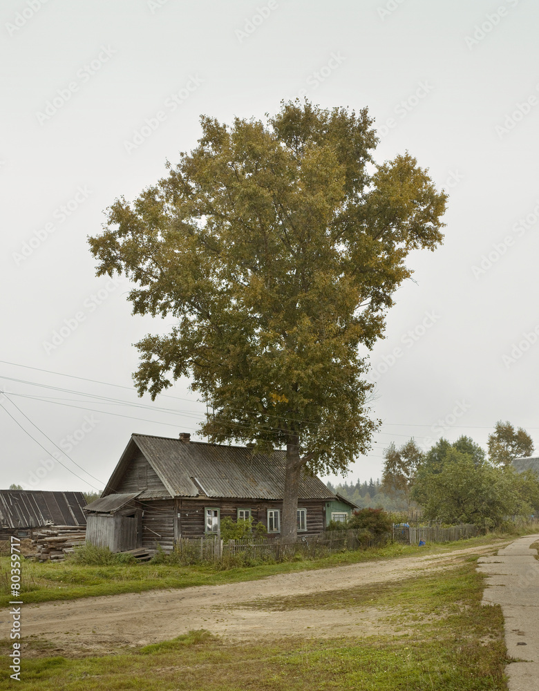 Wall mural wooden house in russian landscape