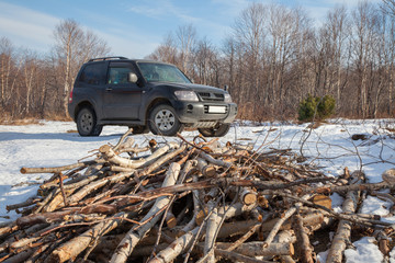 A pile of firewood. Black crossover in winter forest.