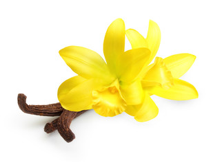 Vanilla pods and  flower