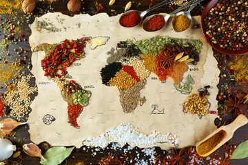 Printed kitchen splashbacks Herbs Map of world made from different kinds of spices