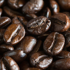 Coffee beans  with filter effect retro vintage style