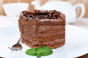 Tasty piece of chocolate cake with mint and cinnamon