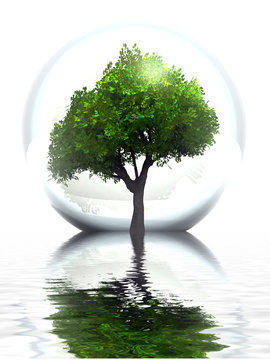 Green tree in a bubble and water
