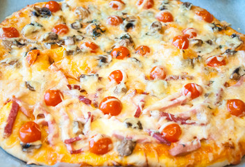 Italian vegetarian pizza on the pan.