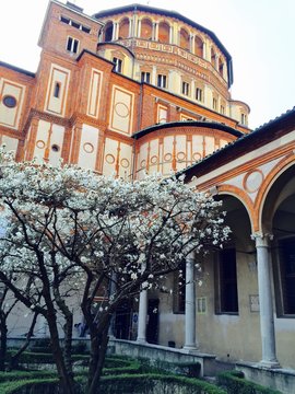 Milano, Santa Maria delle Grazie - Chiostro delle Rane