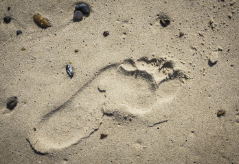 footprint