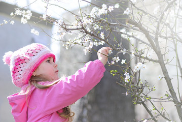 beautiful little girl near a flowering tree