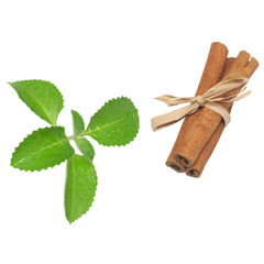 cinnamon and mint leaves