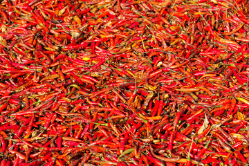 Dried Red Chilli Background