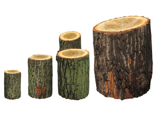 Naklejka premium Birch wooden logs isolated on white