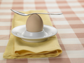 half boiled egg