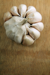 garlic
