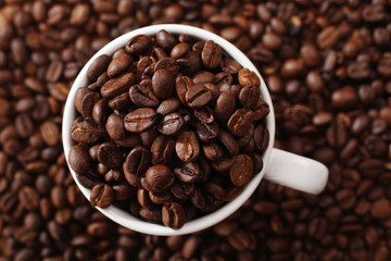 Fototapeta premium coffee bean