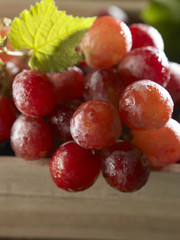 fresh grape
