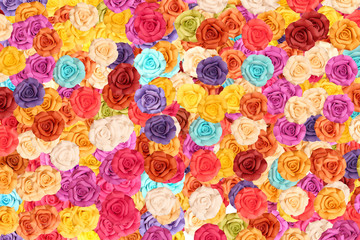 Colorful roses on background.