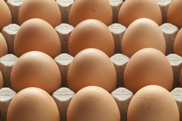 Organic brown eggs in carton crate