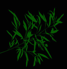 Fototapeta na wymiar green bamboo branch on black background