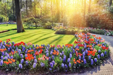 Poster Im Rahmen Spring landscape with colorful flowers © Grecaud Paul
