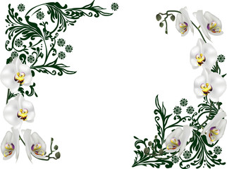 green frame decoration with white orchid blooms
