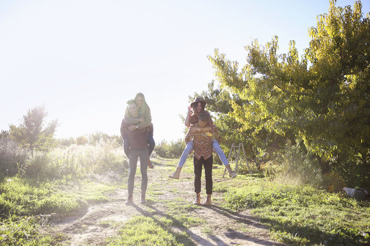 Two couples in sunny orchard