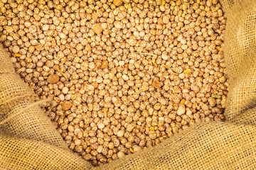 Bag with fresh lupine beans