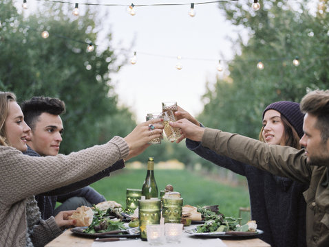 Group of people toasting with glasses of cider at table in orchard