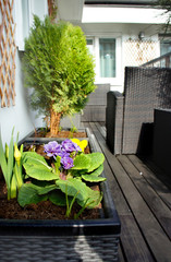 Beautiful modern terrace with mix of spring