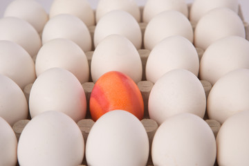 	Easter eggs , easter decoration 
