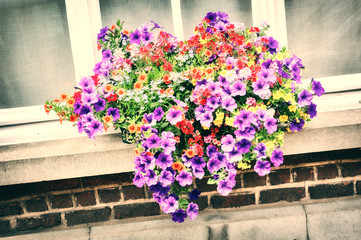 Fototapeta na wymiar House window with colorful petunias