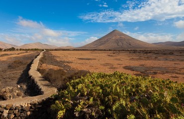 cacti and the volcano on the horizon, the Canary Islands