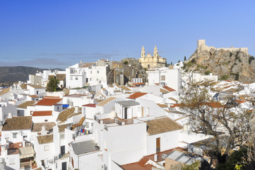 Fototapeta na wymiar White town of Olvera, Cadiz (Spain)