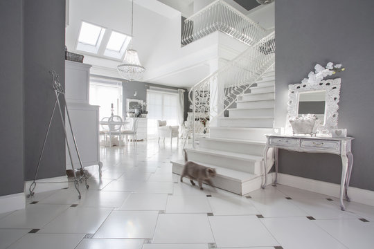 White and grey expensive interior