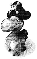 Dodo © Julien Tromeur