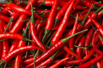 Close-up view of red chillies