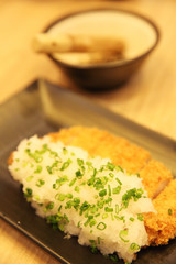 Japanese food tonkatsu with rice