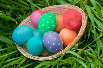 Fototapeta na wymiar Easter eggs basket