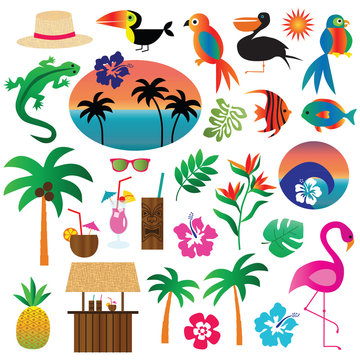 Fototapeta tropical clipart