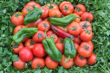 Tomatoes and sweet peppers.