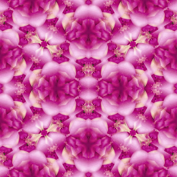 Floral Pink Seamless Pattern