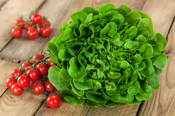 Wurzelsalat Salanova