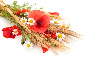 Wheats and poppies in bouquet. © Vitalina Rybakova