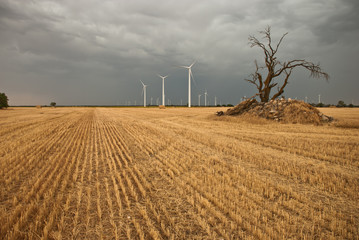 wind farm