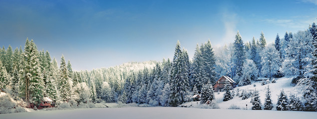 Панорама зимним утром в Карпатах